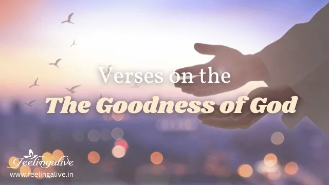 Bibelverse über die Güte Gottes